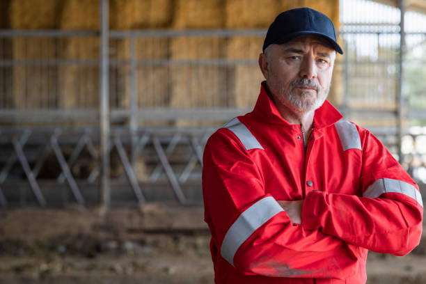 the life of a farmer - photography gray hair farmer professional occupation imagens e fotografias de stock