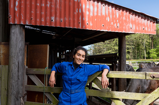 A shot of a female farmer leaning on a gate in a farm yard in Northumberland, North East England. She is smiling, wearing blue overalls and has a casual stance. On the other side of the gate, there are some Aberdeen Angus cattle in a cattle pen. The cattle have been bought from a trusted seller and are surrounded by a rural scene with fields, distant trees and a large barn building.