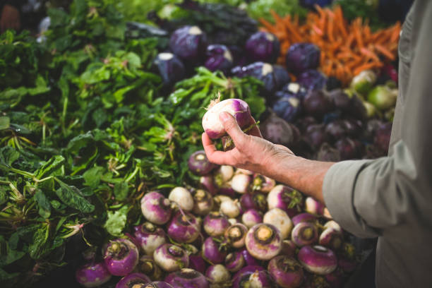 Ripe vegetables at the vegetable fair