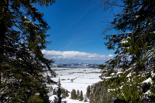tree framed winter view at he the lake Forggensee and Bannwaldsee, Schwangau, Hohenschwangau, Allgaeu, Bavaria Germany