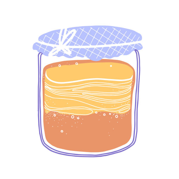 Kombucha fermented probiotic homemade tea. Mushroom, glass jar with kombucha tea. Healthy fungus drink. Flat cartoon style. Hand-drawn vector sketch. Kombucha fermented probiotic homemade tea. Mushroom, glass jar with kombucha tea. Scoby hotel. Healthy fungus drink. Flat cartoon style. Decorative hand-drawn vector, colored sketch. kombucha jar stock illustrations