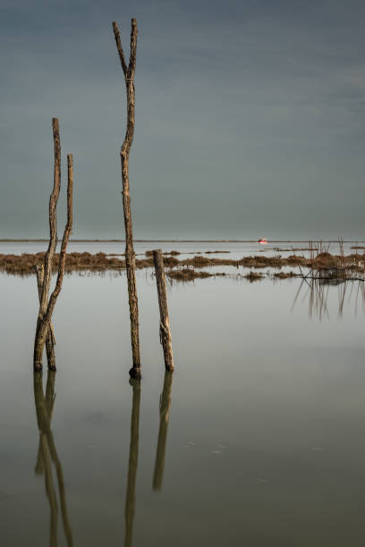 istock Romantic landscape by the water 1479458261