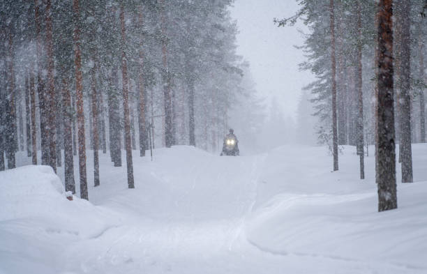 istock Snowy forest and snowmobile in blizzard 1479458352