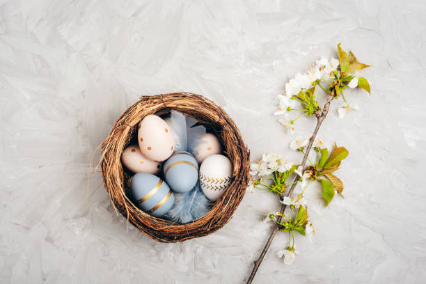 istock Nest with Easter eggs and cherry twig on gray concrete texture background. Easter concept. Top view, flat lay 1479460024