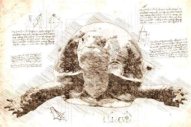 istock Close-up da Vinci style sketch of moving  turtle 1479460094