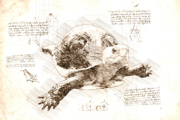 istock da Vinci style sketch of asian turtle. 1479460109
