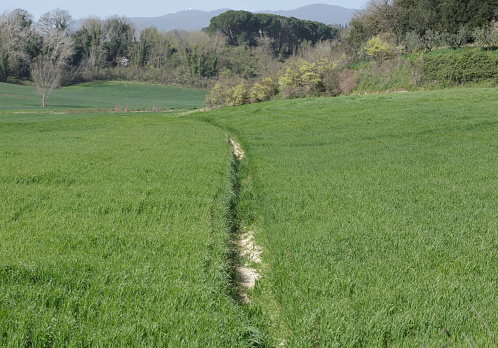 Curved footpath across the valley. Diminishing perspectrive
