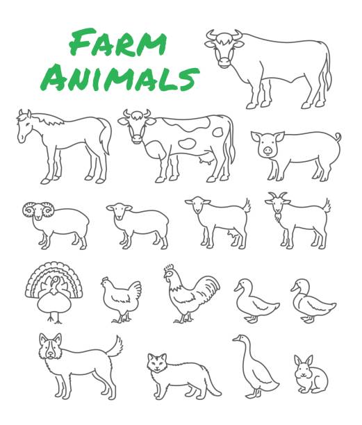 Domestic farm animals simple shape thin line illustration vector art illustration