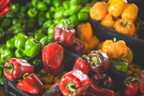Ripe vegetables at the vegetable fair