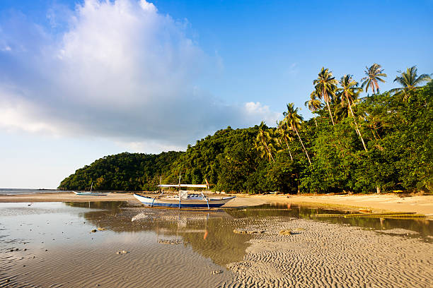 istock coastline landscape with tide going out 147946265