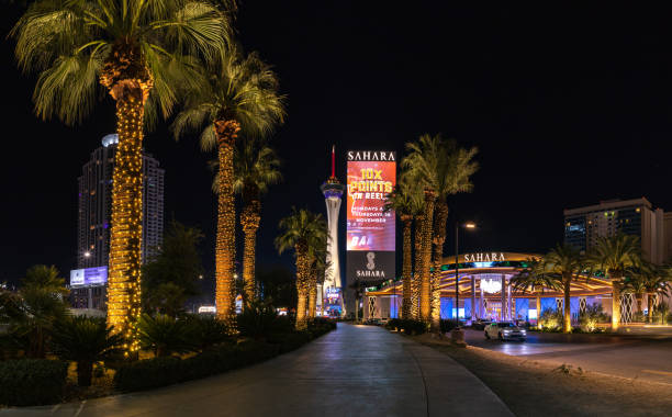 This photo illustrates a common sight on the famous Las Vegas Boulevard, also known as the Las Vegas Strip, with its characteristic traffic lights, road signs, and palm trees. The image captures the essence of American urban design in one of the most well-known entertainment districts in the world. Ideal for projects related to travel, tourism, or urban planning, this photo brings the vibrant, fast-paced atmosphere of Las Vegas to life.