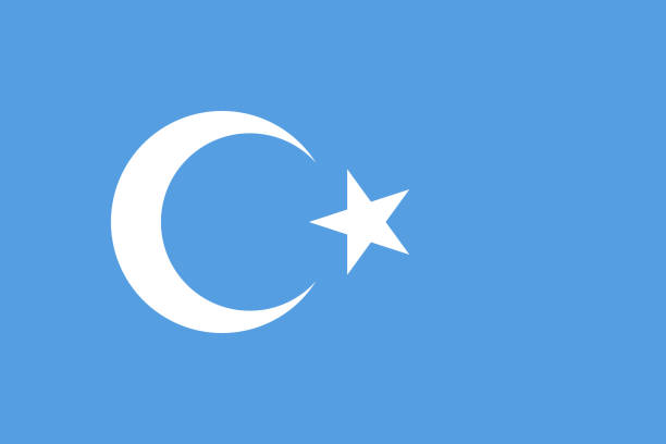 illustrazioni stock, clip art, cartoni animati e icone di tendenza di bandiera semplice del turkestan orientale - uighur