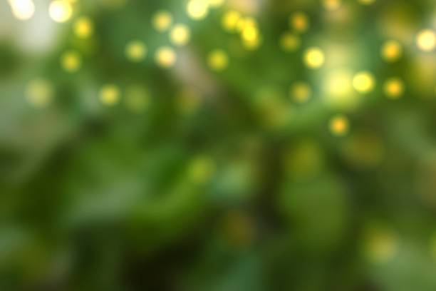istock Blur tree bokeh background. Eco nature green and blue abstract defocused background with sunshine. Defocused green & gold abstract background stock photo 1479465388