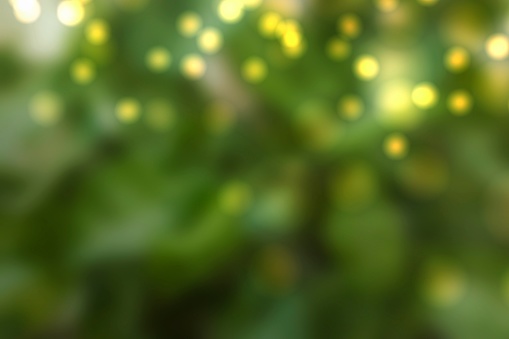Blur tree bokeh background. Eco nature green and blue abstract defocused background with sunshine. Defocused green & gold abstract background stock photo