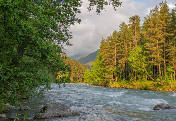 a beautiful view of the Arkhyz mountain river, the photo was taken on a summer evening on the banks of the river