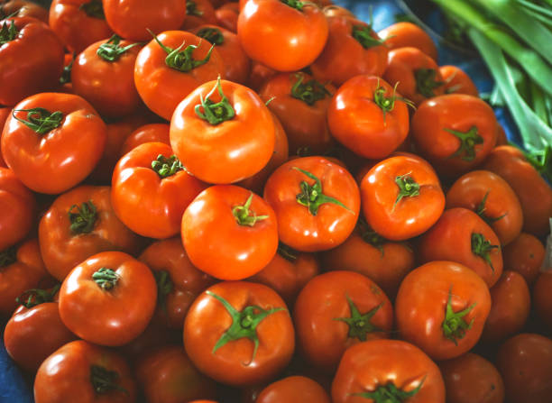 Ripe vegetables at the vegetable fair
