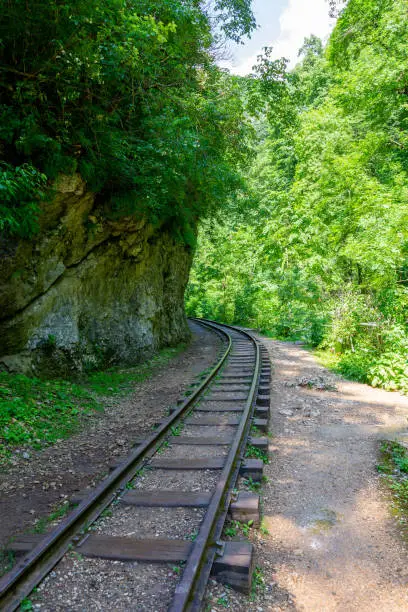 Photo of narrow gauge railway