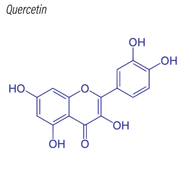 ilustrações, clipart, desenhos animados e ícones de fórmula esquelética de quercetina. molécula química da droga. - quercetin