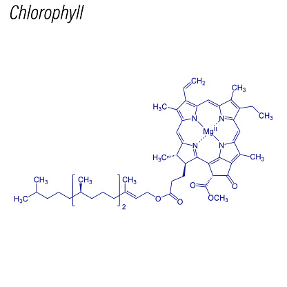 Vector Skeletal formula of Chlorophyll. Drug chemical molecule.