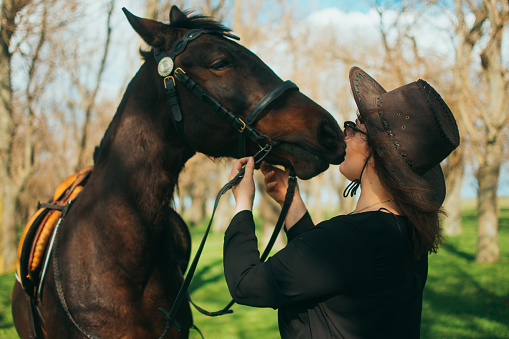 Young girl in rays of setting sun kisses her horse.The concept of Love for nature. Portrait. Lifestyle. High quality photo