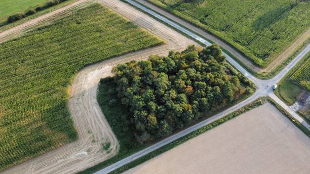 istock Fly over the french fields in Summer 1479467941