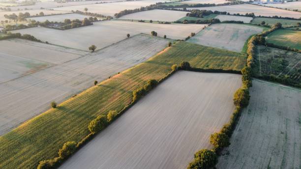 istock Fly over the french fields in Summer 1479468139