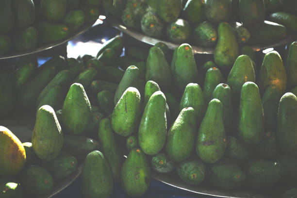 Ripe vegetables at the vegetable fair