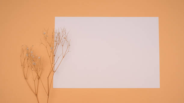 istock White paper on yellow background. 1479469234