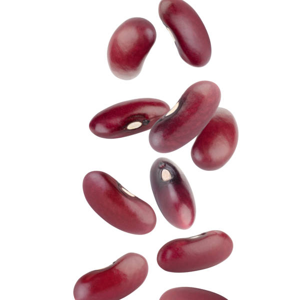 istock Perfectly retouched dark red beans fly in space. Isolated on white 1479469997