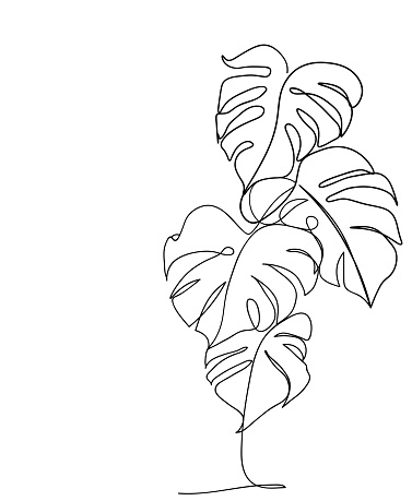 Abstract Monstera leaf one line drawing art. Continuous line drawing. Monstera contour drawing.Minimalism art. Modern minimal black and white illustration for printing.Vector Minimalism art style.