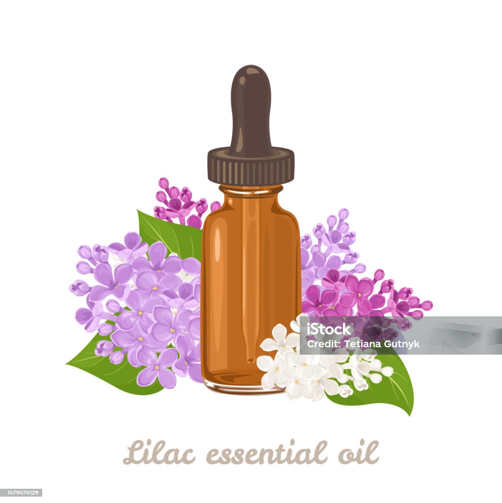 Essential Oil Of Lilac Flowers Amber Glass Dropper Bottle And Flowers  Isolated On White Background Vector Illustration In Cartoon Flat Style  Stock Illustration - Download Image Now - iStock