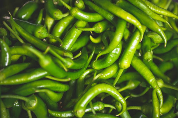 Ripe vegetables at the vegetable fair