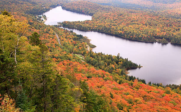 istock Mont Tremblant National Park in autumn 147948415