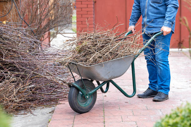 庭の手押し車の上の庭師は早春に庭の枝を切りました。 - wheelbarrow carrying waste  ストックフォトと画像