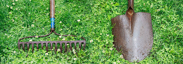 istock Metal Rake and Shovel 147948825