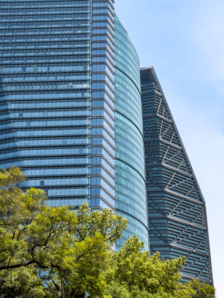 istock Skyscrapers with greenery in the foreground 1479489397