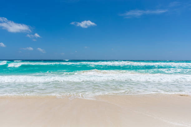 istock Mexico Cancun, beautiful Caribbean coast 1479489487