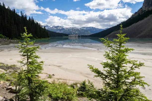 Photo of Lake Louise in Banff National Park during summer