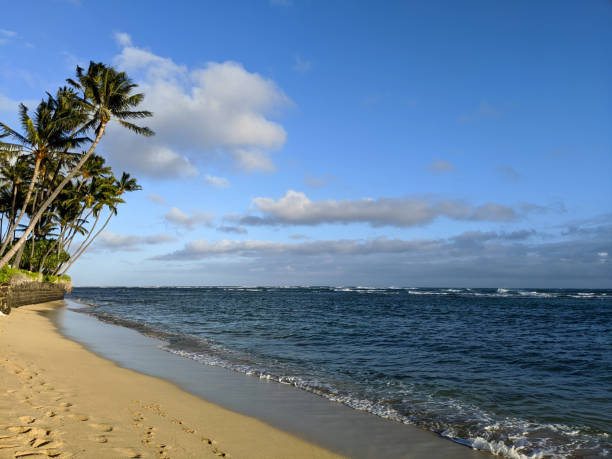 istock Empty secret beach at Leahi Beach Park 1479499943
