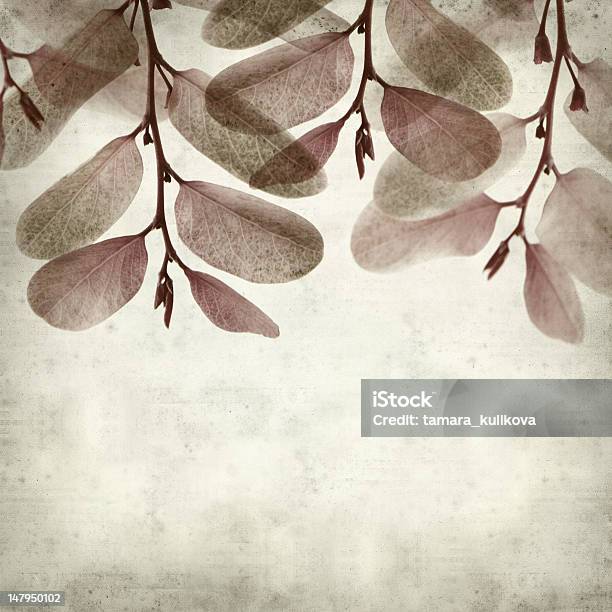 Texturierte Alten Papier Hintergrund Stockfoto und mehr Bilder von Alt - Alt, Ast - Pflanzenbestandteil, Ausgedörrt