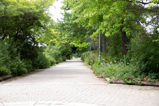 istock A park surrounded by green trees with stone-paved road in Canada. 1479505524