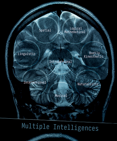 Howard Gardner's theory of multiple intelligences suggests that there are eight different types of intelligence.