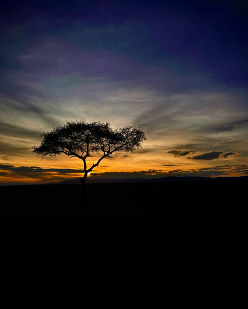 istock Sunrise on the Maasai Mara 1479507029