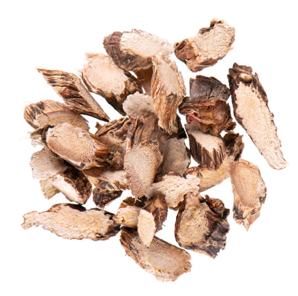 istock Calamus root isolated on white background. Sweet flag, sway or muskrat root, vasambu. Dry root of Acorus calamus. Top view. 1479511143