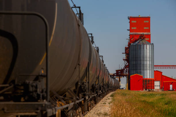 istock Freight train cars moving along the railway tracks 1479516607