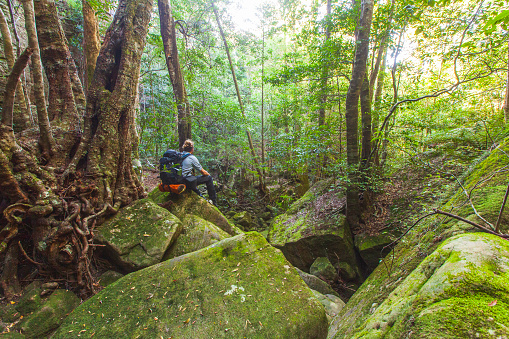 Hiker resting on rock in lush green rainforest scene
