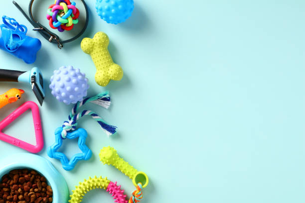 istock Pet toys and accessories on blue table. Flat lay, top view. 1479525710