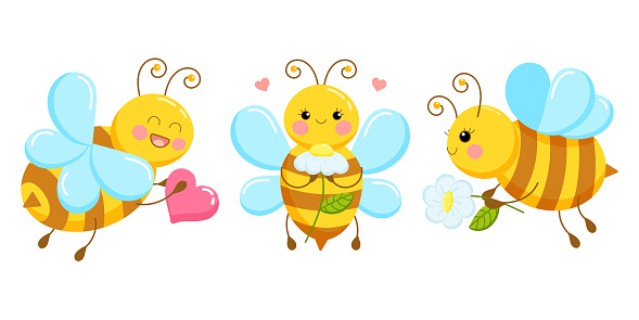 Set of illustrations of cute cartoon bees in love with daisies. Vector illustration