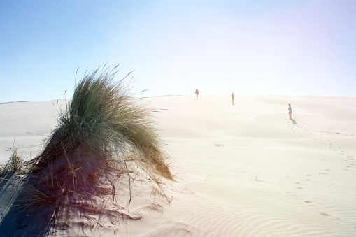 Distant figures walk to the horizon in a sand dune landscape in summer.