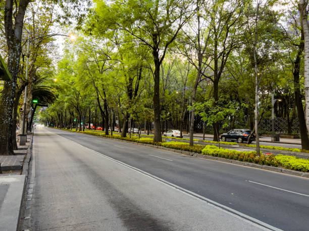 Reforma Avenue with no traffic at springtime stock photo